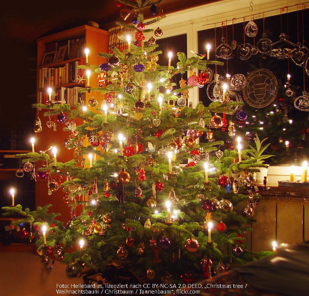 Der Hype um die&nbsp;Weihnachtssongs